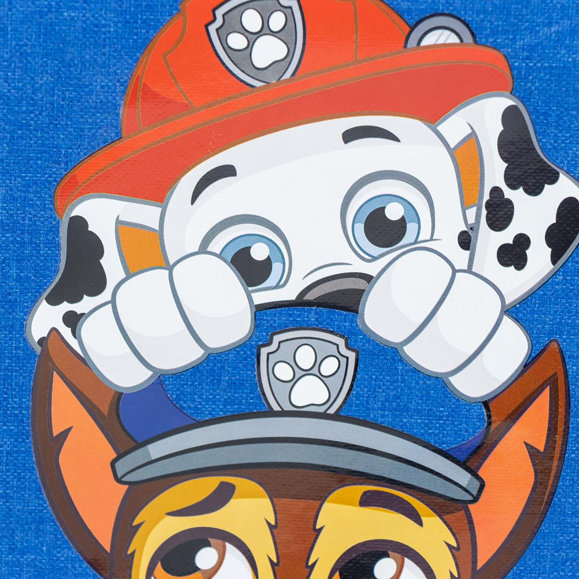 Cerda - Lunch Bag Thermal - Paw Patrol