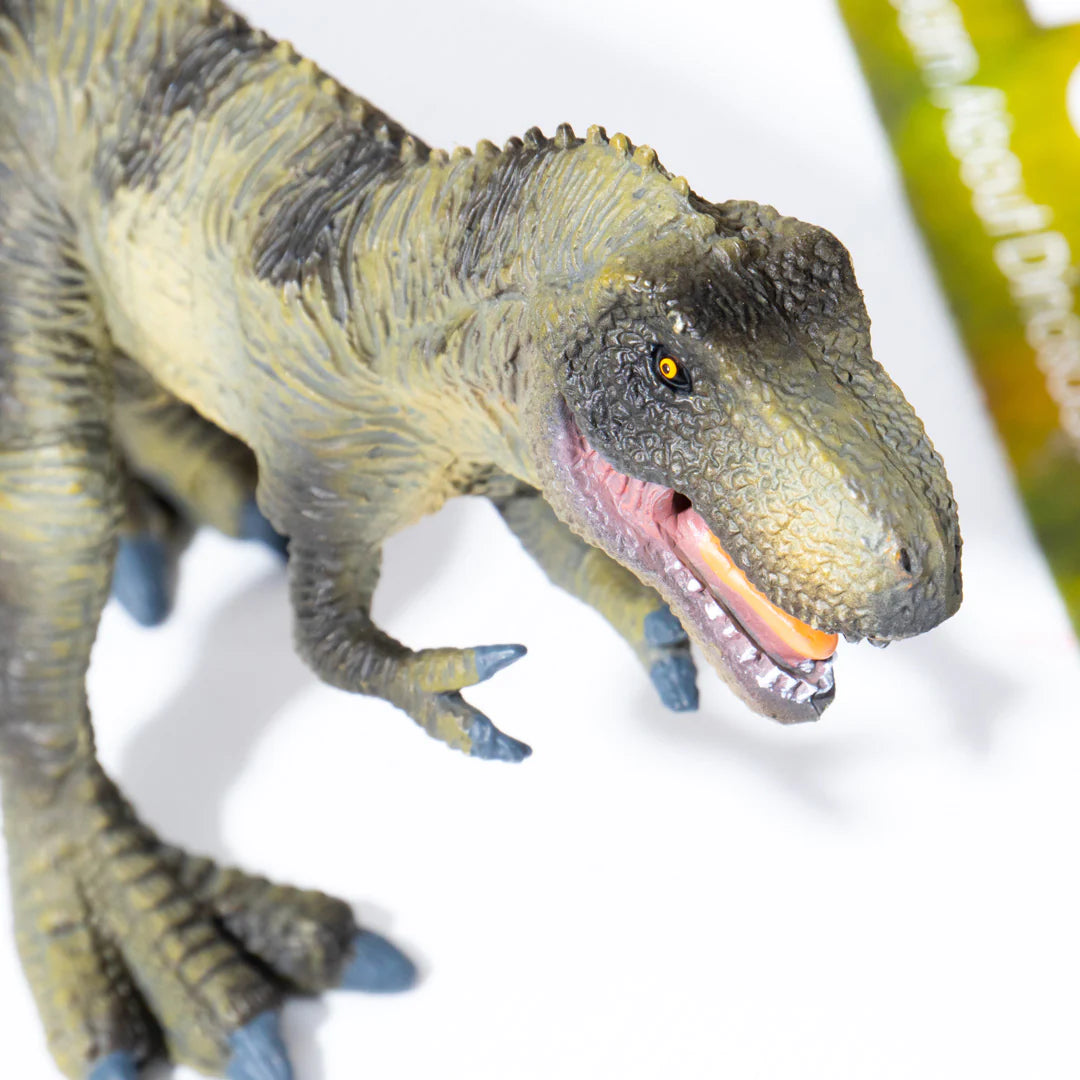 Mideer - Dinosaur Toys Set - 24pcs - Age 3+