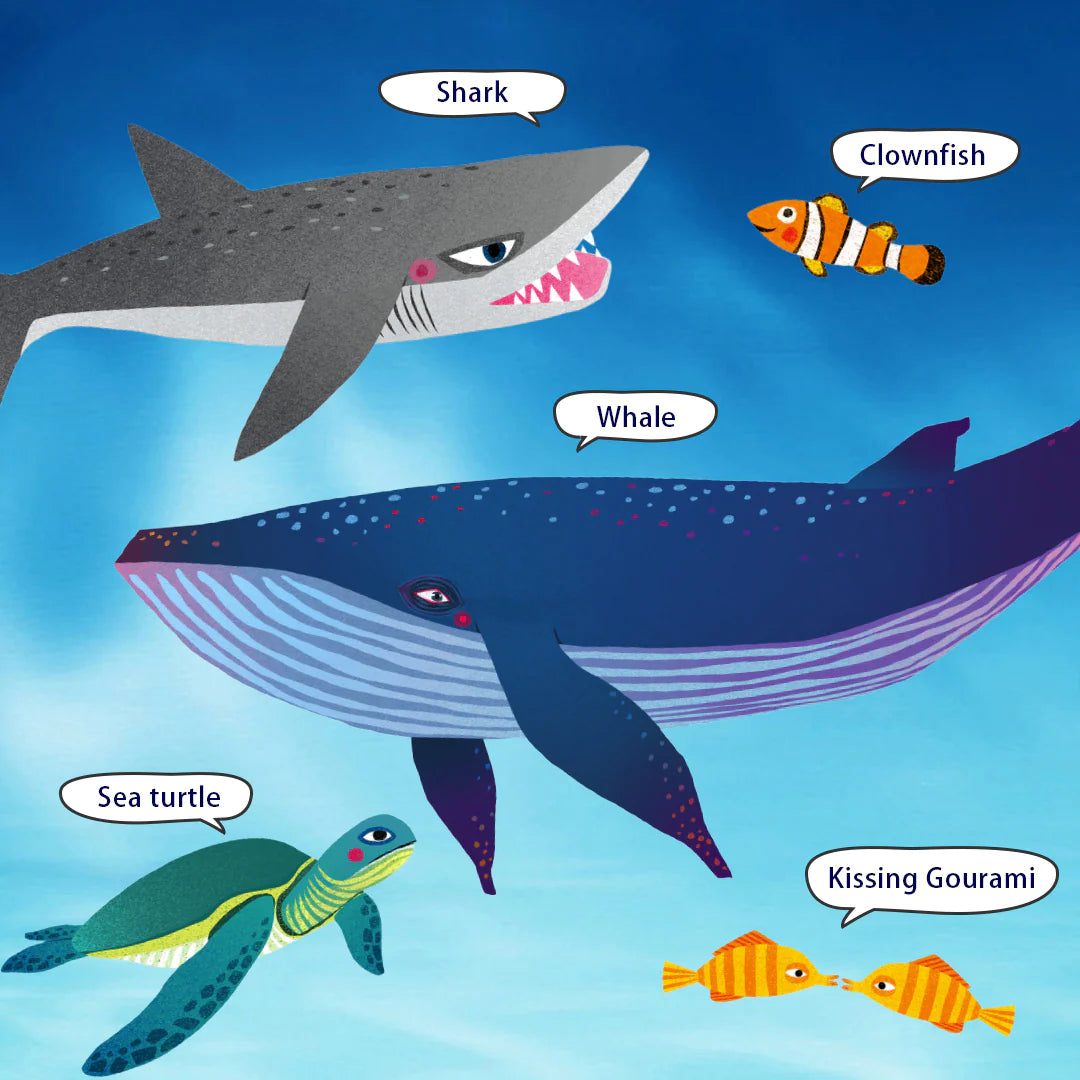 Mideer - Wonderful Ocean Puzzle - age +3