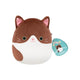 Squishmallows Glaudini the Dark Brown Tuxedo Cat 7.5 inch plush