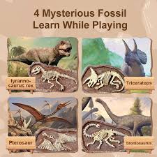 Mideer - Steam Game Revive Triceratops - age +6