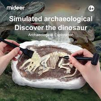 Mideer - Steam Game Revive Triceratops - age +6